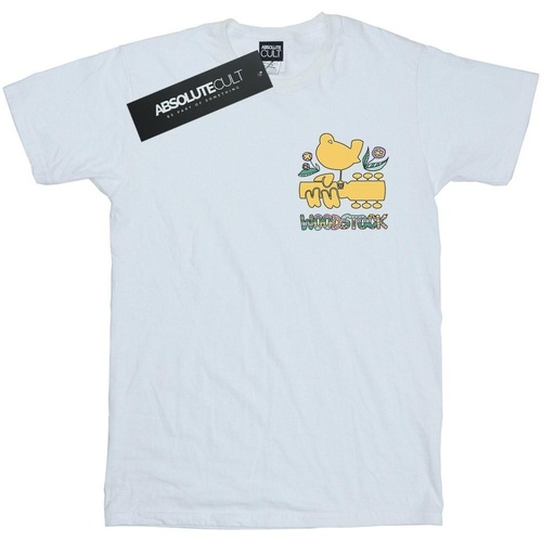 Vêtements Fille T-shirts manches longues Woodstock Breast Logo Blanc