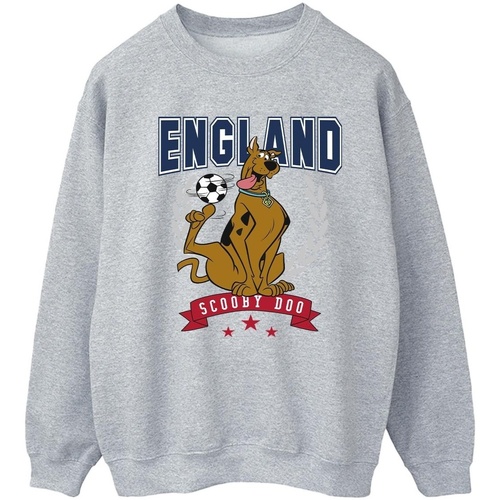 Vêtements Femme Sweats Scooby Doo England Football Gris