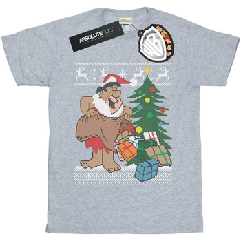 Vêtements Femme T-shirts manches longues The Flintstones Christmas Fair Isle Gris