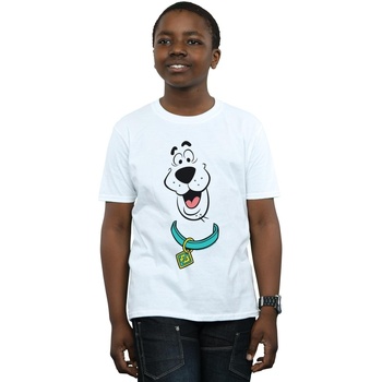 Vêtements Garçon T-shirts manches courtes Scooby Doo Big Face Blanc