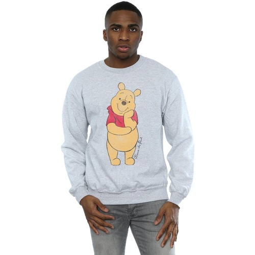 Vêtements Homme Sweats Disney Winnie The Pooh Classic Pooh Gris