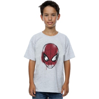 Vêtements Garçon T-shirts manches courtes Marvel Spider-Man Face Sketch Gris