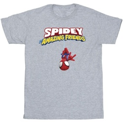 Vêtements Garçon T-shirts Pocket manches courtes Marvel Spider-Man Hanging Upside Down Gris