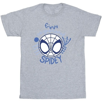 Vêtements Garçon T-shirts manches courtes Marvel Spidey And His Amazing Friends Neighbourhood Gris