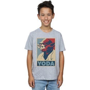 Vêtements Garçon T-shirts manches courtes Disney Yoda Poster Gris