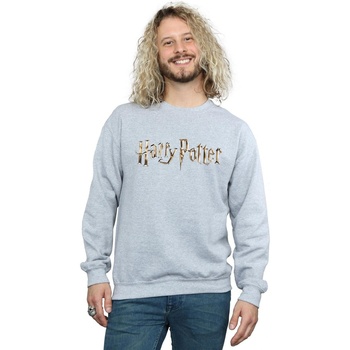 Vêtements Homme Sweats Harry Potter  Gris