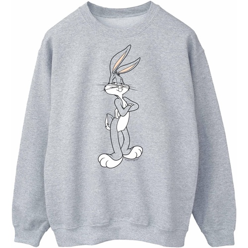 Vêtements Homme Sweats Dessins Animés Bugs Bunny Crossed Arms Gris
