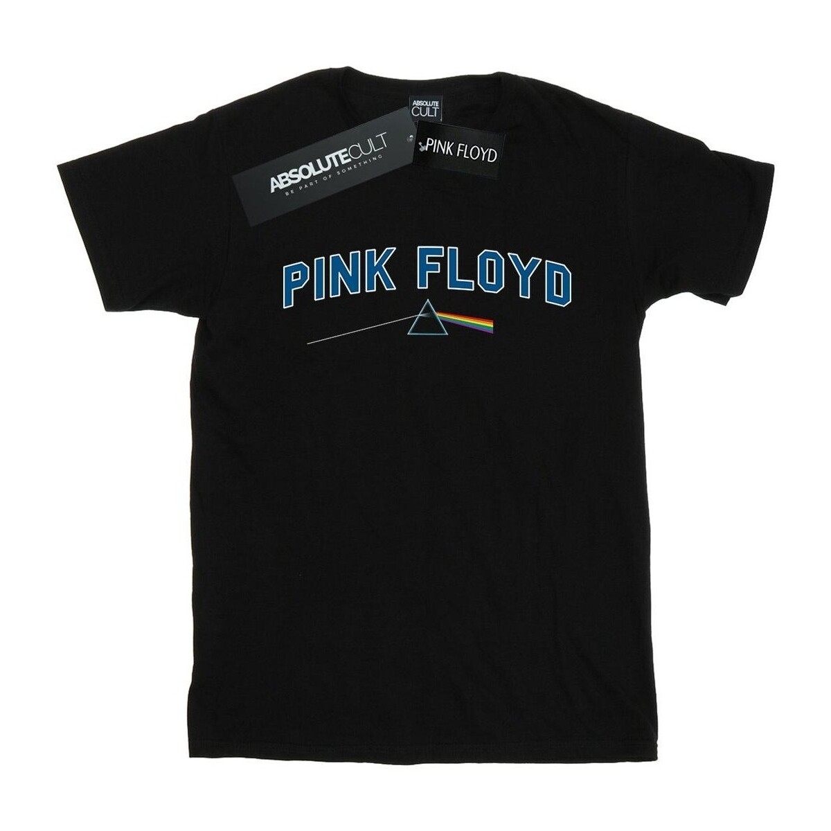 Vêtements Femme T-shirts manches longues Pink Floyd College Prism Noir