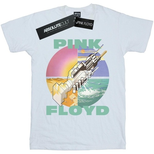 Vêtements Femme T-shirts manches longues Pink Floyd BI48919 Blanc