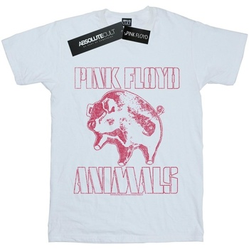 Vêtements Femme T-shirts manches longues Pink Floyd  Blanc