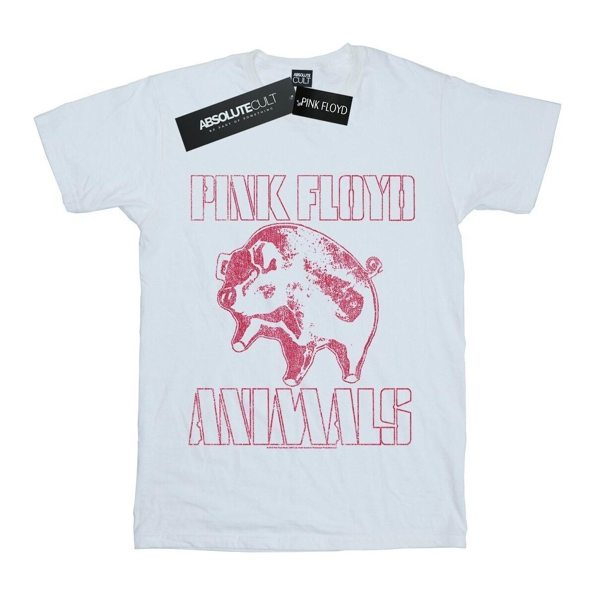 Vêtements Femme T-shirts manches longues Pink Floyd Animals Algie Blanc