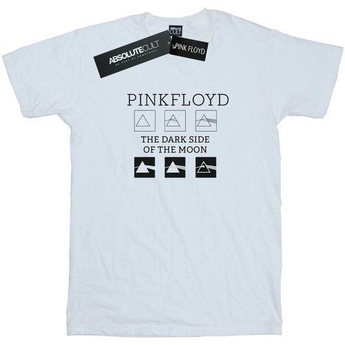 Vêtements Femme T-shirts manches longues Pink Floyd BI48928 Blanc