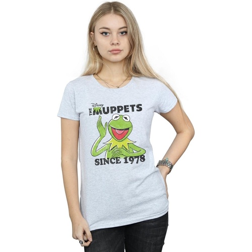 Vêtements Femme Maison & Déco Disney The Muppets Kermit Since 1978 Gris