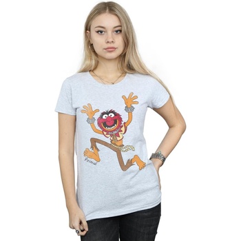 Vêtements Femme T-shirts manches longues Disney The Muppets Classic Animal Gris