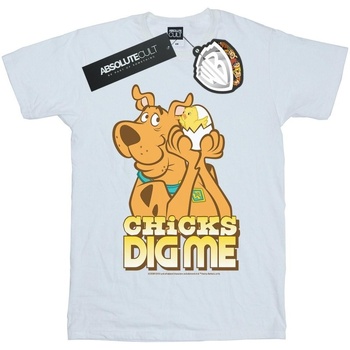 Vêtements Femme T-shirts manches longues Scooby Doo Chicks Dig Me Blanc