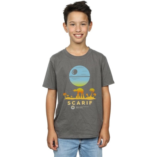 Vêtements Garçon T-shirts manches courtes Disney Rogue One Scarif Sunset Multicolore