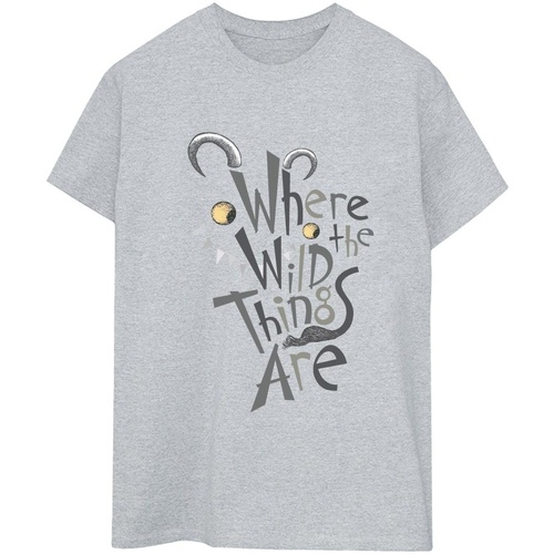 Vêtements Femme T-shirts manches longues Where The Wild Things Are BI49236 Gris