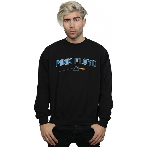 Vêtements Homme Sweats Pink Floyd College Prism Noir
