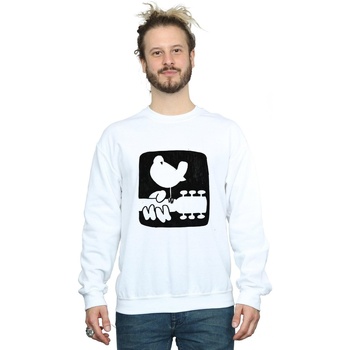 Vêtements Homme Sweats Woodstock Guitar Logo Blanc