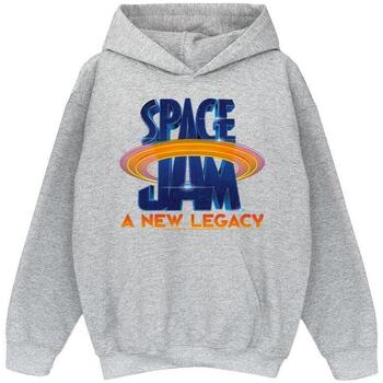 Vêtements Garçon Sweats Space Jam: A New Legacy Logo Circle Gris