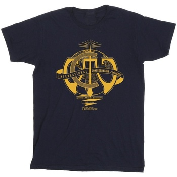 Vêtements Homme T-shirts manches longues Fantastic Beasts: The Secrets Of International Confederation Of Wizards Bleu
