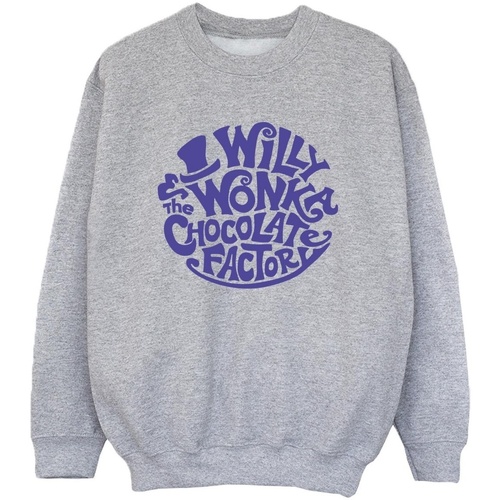 Vêtements Garçon Sweats Willy Wonka & The Chocolate Fact Typed Logo Gris