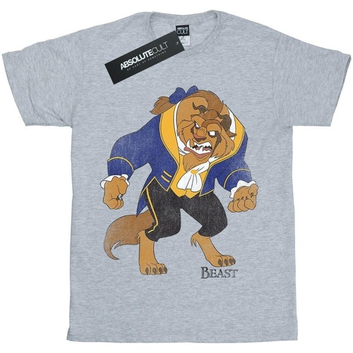 Vêtements Garçon T-shirts manches courtes Disney Beauty And The Beast Classic Beast Gris
