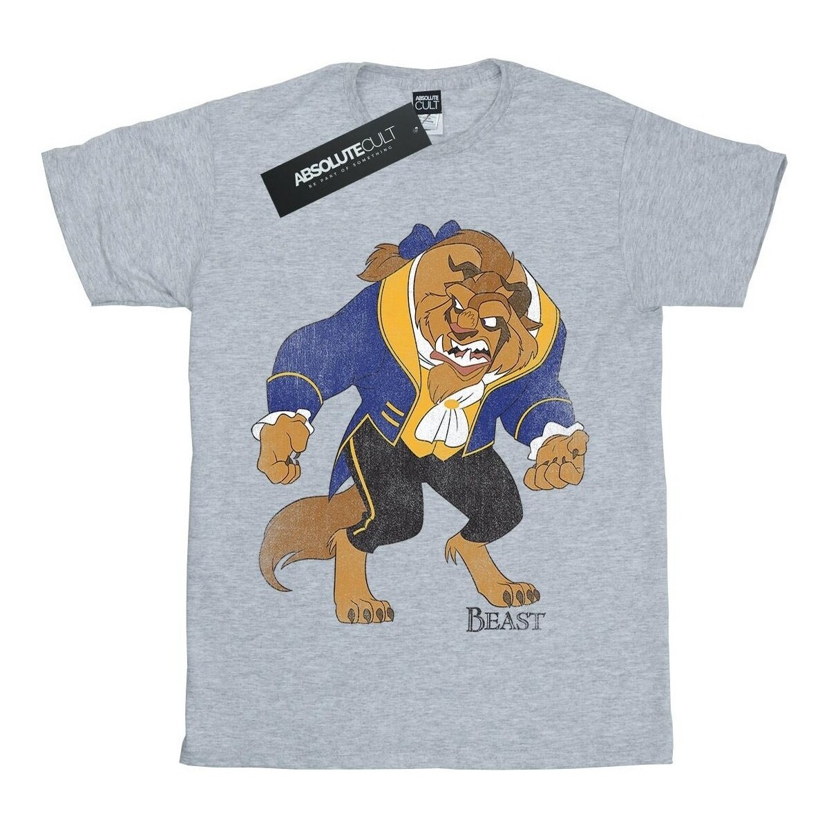 Vêtements Garçon T-shirts manches courtes Disney Beauty And The Beast Classic Beast Gris
