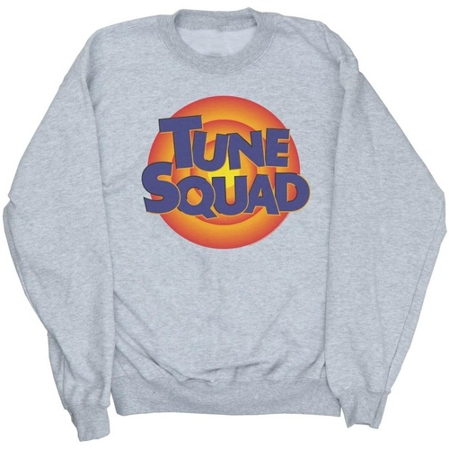Vêtements Fille Sweats Space Jam: A New Legacy Tune Squad Logo Gris