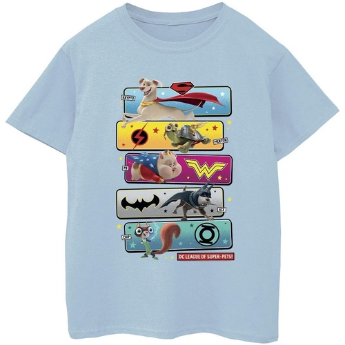 Vêtements Garçon T-shirts manches courtes Dc Comics DC League Of Super-Pets Character Pose Bleu