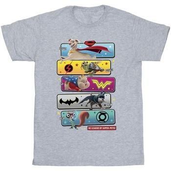 Vêtements Garçon T-shirts manches courtes Dc Comics DC League Of Super-Pets Character Pose Gris