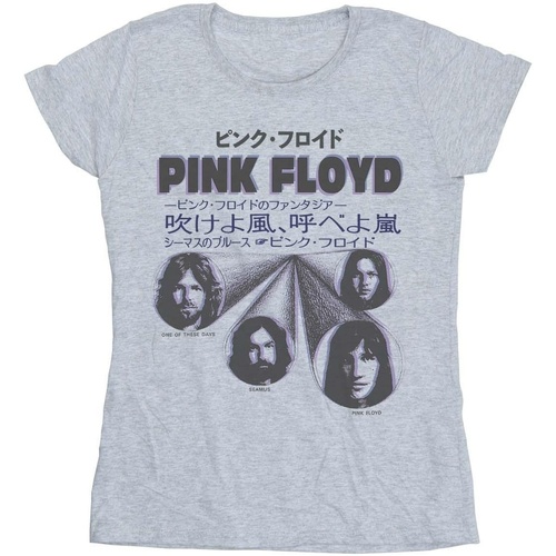 Vêtements Femme T-shirts manches longues Pink Floyd BI49853 Gris
