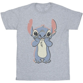 Vêtements Homme T-shirts manches longues Disney Lilo And Stitch Big Print Gris