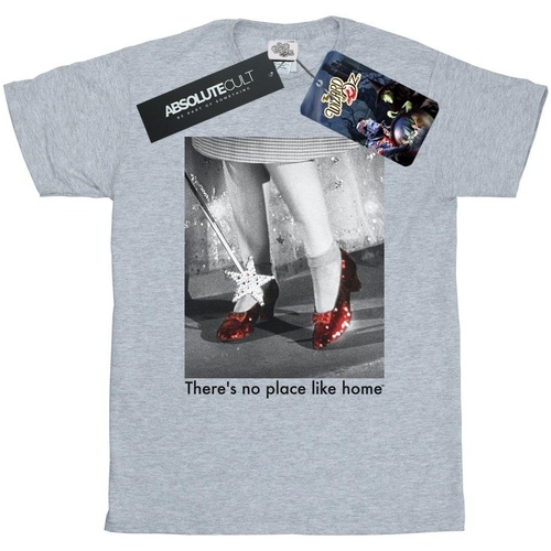 Vêtements Fille T-shirts manches longues The Wizard Of Oz Ruby Slippers Photo Gris
