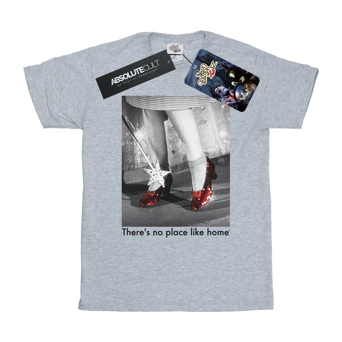Vêtements Fille T-shirts manches longues The Wizard Of Oz Ruby Slippers Photo Gris