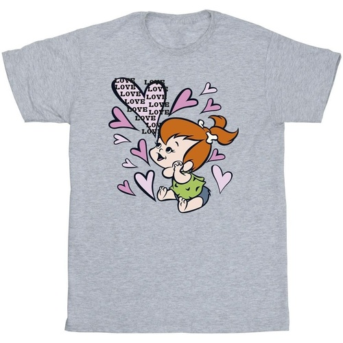 Vêtements Garçon T-shirts manches courtes The Flintstones Pebbles Love Love Love Gris