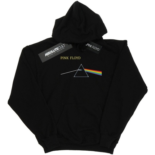 Vêtements Homme Sweats Pink Floyd Chest Prism Noir