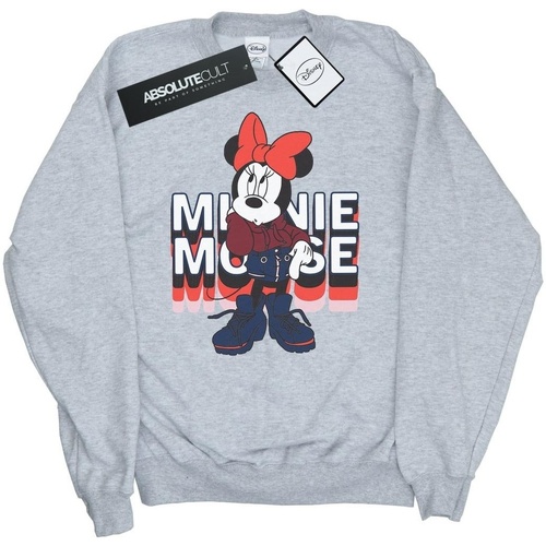Vêtements Garçon Sweats Disney Minnie Mouse In Hoodie Gris