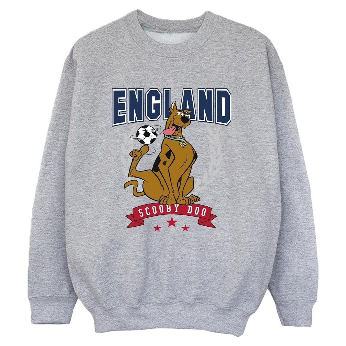 Vêtements Garçon Sweats Scooby Doo England Football Gris