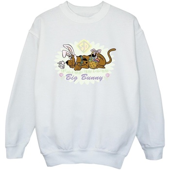 Vêtements Garçon Sweats Scooby Doo Big Bunny Blanc