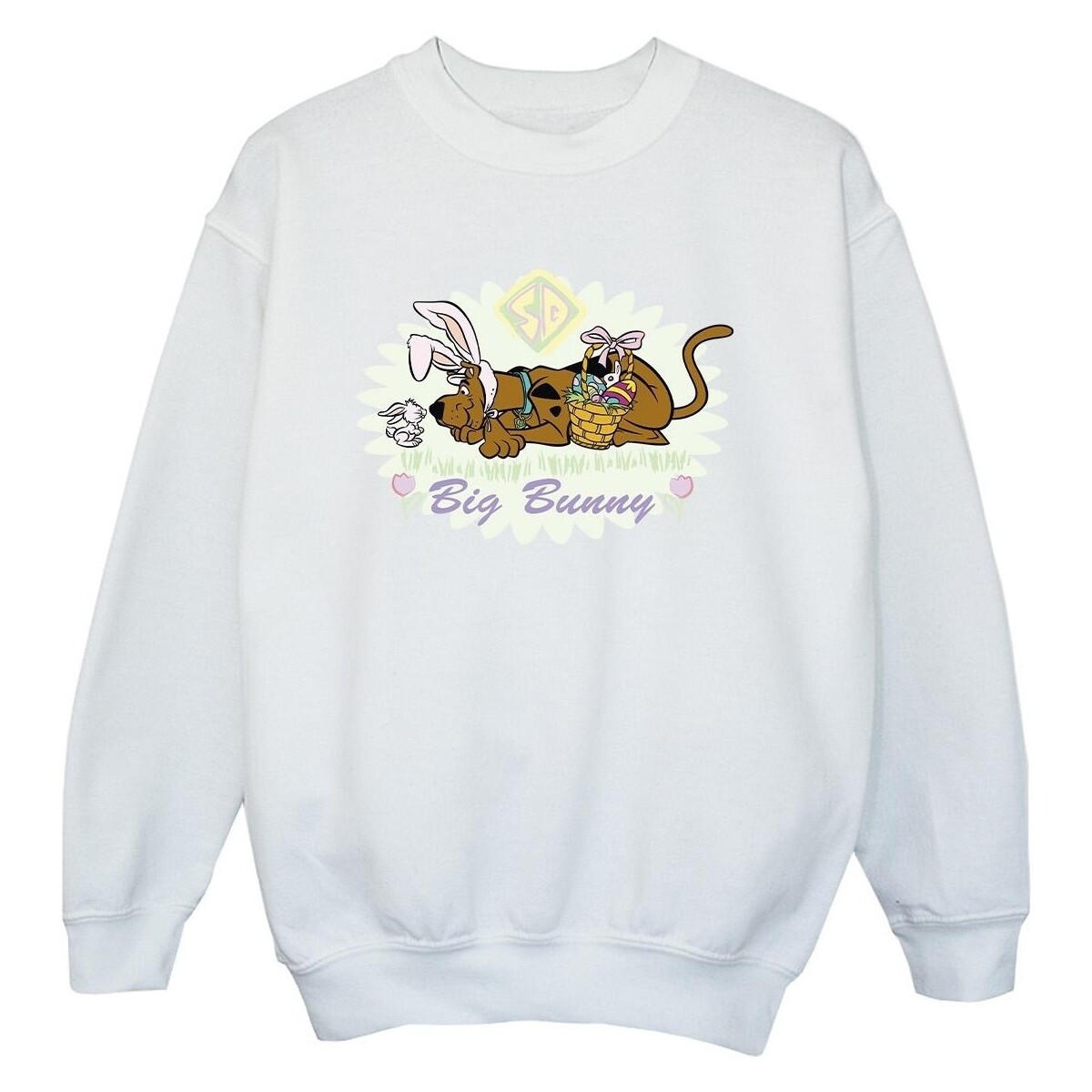 Vêtements Garçon Sweats Scooby Doo Big Bunny Blanc