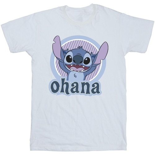 Vêtements Garçon T-shirts manches courtes Disney Lilo And Stitch Ohana Circle Blanc