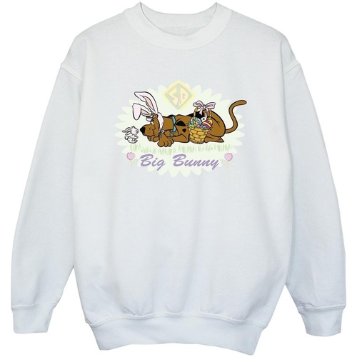 Vêtements Fille Sweats Scooby Doo Big Bunny Blanc