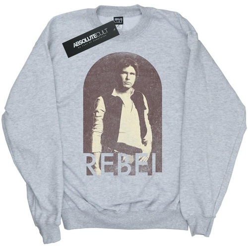 Vêtements Garçon Sweats Disney Han Solo Rebel Gris