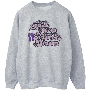 Vêtements Homme Sweats Willy Wonka Dreamers Text Gris