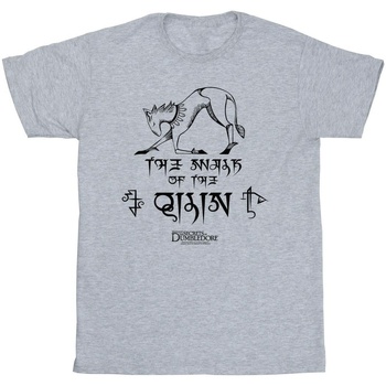 Vêtements Fille T-shirts manches longues Fantastic Beasts: The Secrets Of Magic Hieroglyphs Gris