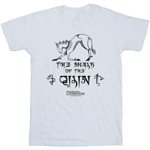 Vêtements Fille T-shirts manches longues Fantastic Beasts: The Secrets Of Magic Hieroglyphs Blanc