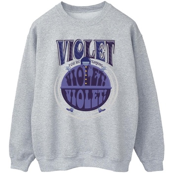 Vêtements Homme Sweats Willy Wonka Violet Turning Violet Gris