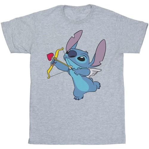 Vêtements Fille T-shirts manches longues Disney Lilo And Stitch Stitch Cupid Valentines Gris