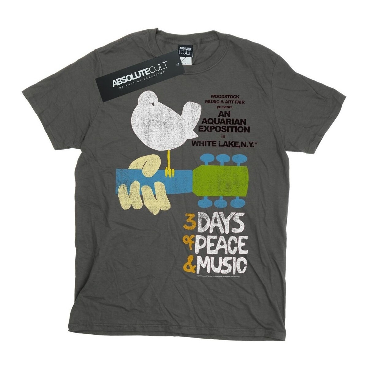 Vêtements Garçon T-shirts manches courtes Woodstock Festival Poster Multicolore